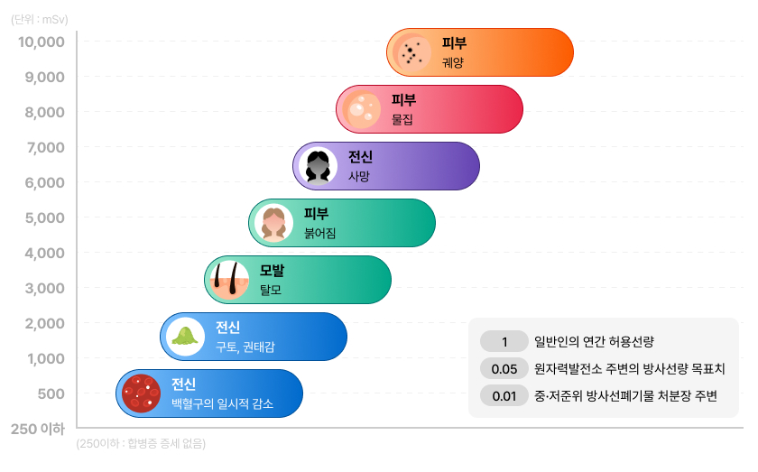 방사선이 인체에 미치는 영향 그래프 이미지