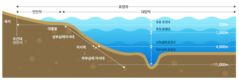 연안역과 외양역(대양역)