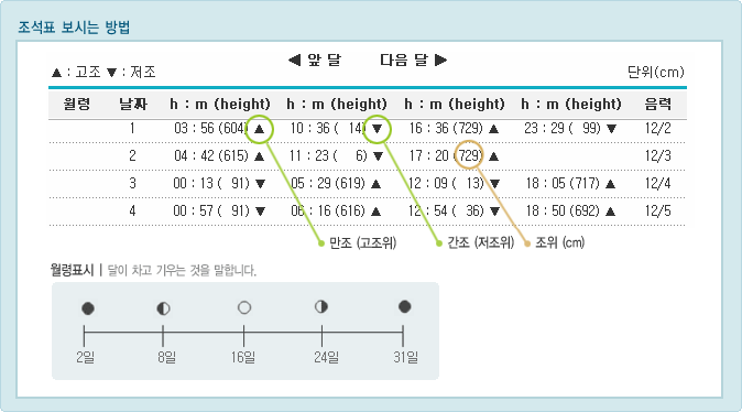 보령갯벌지역의 조석예보표