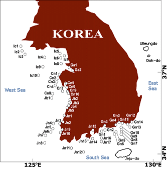 다모류 조사 정점